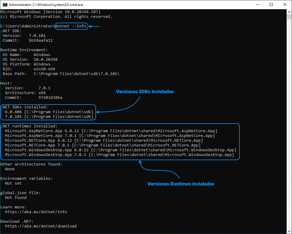 dotnet info