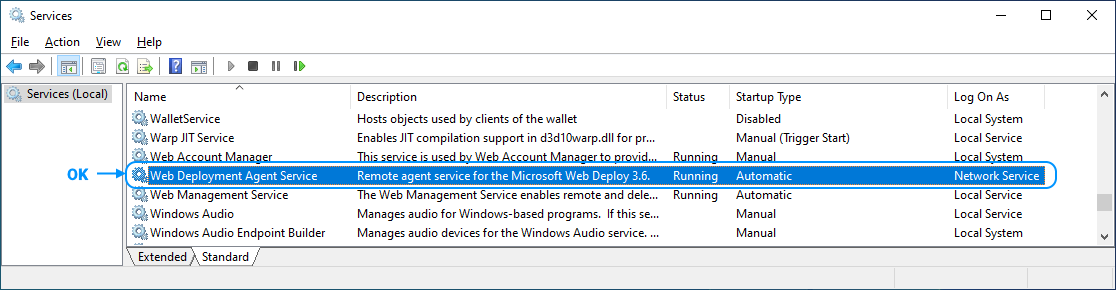 11 Web Deploy Setup