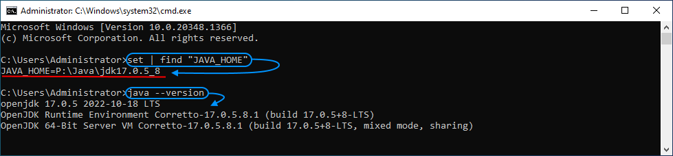 10 Amazon Corretto Setup