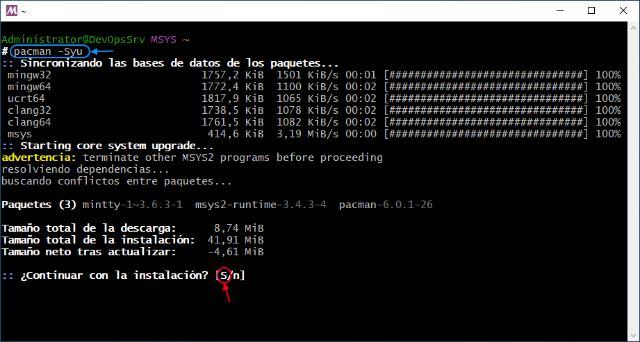 01 MSYS2 MSYS Update Packages DB