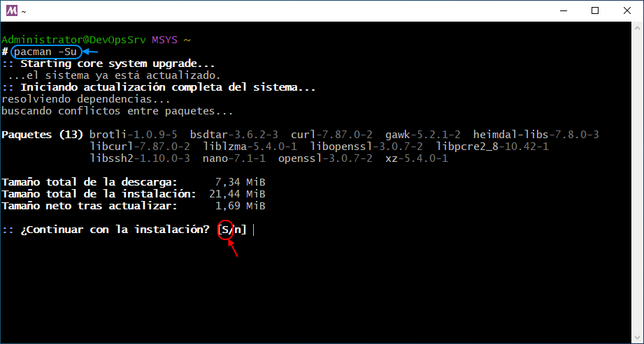 03 MSYS2 MSYS Update Packages DB