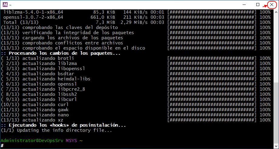 04 MSYS2 MSYS Update Packages DB
