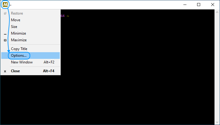 07 MSYS2 Setup