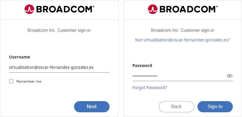 VMware Workstation Pro descarga 1